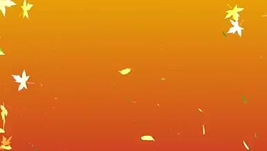 橙色秋天伤感落叶背景倒计时AE动画视频的预览图
